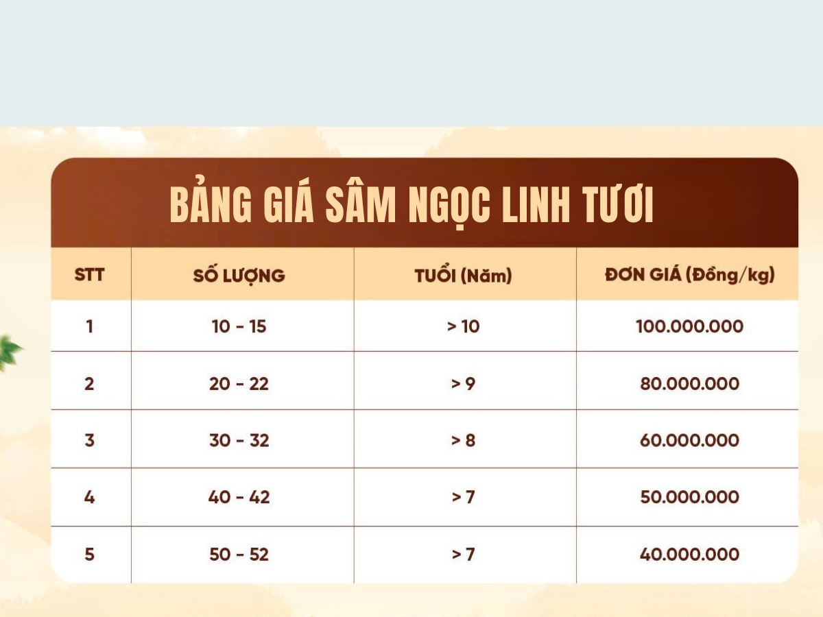Giá sâm Ngọc Linh mới nhất 2025 sâm ngọc linh TRIMICO